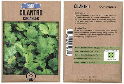 CYBEXIS coriander Seed(700 per packet)