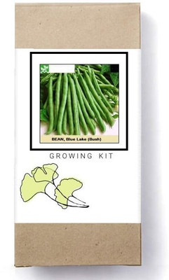 Biosnyg Vegetable Seeds Bush Bean[100 Seeds] Seed(100 per packet)