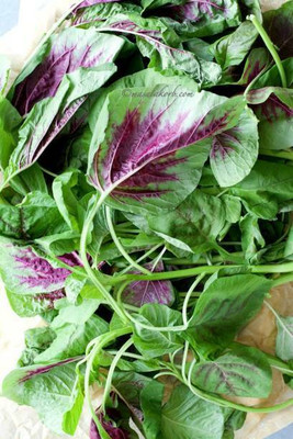 MAA Amaranthus Red, Tottakura Seed(60 per packet)