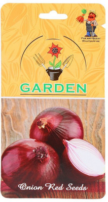 CYBEXIS Onion Red Seeds1000 Seeds Seed(1000 per packet)