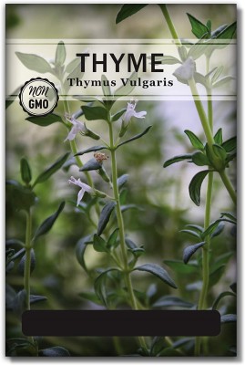 Qualtivate HUA-8A German Thyme Seeds Seed(50 per packet)