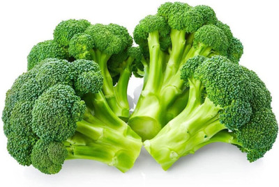 WILLVINE SYN -II Non-GMO Waltham 29 Broccoli Seed [25g] Seed(7500 per packet)