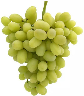 PASCLE Extra Sweet green grapes Seed(50 per packet)