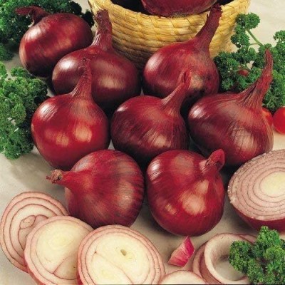 KNESSiN Onion 'Red Baron' Seed(300 per packet)