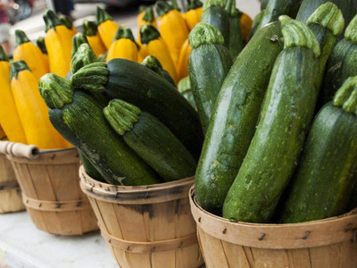 WILLVINE HUA-322 Zucchini Courgette Squash Summer Mix Seed(100 per packet)