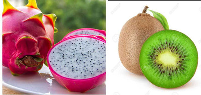 Oliver HYBRID @F1 quality dragon&kiwi fruit seed Seed(220 per packet)