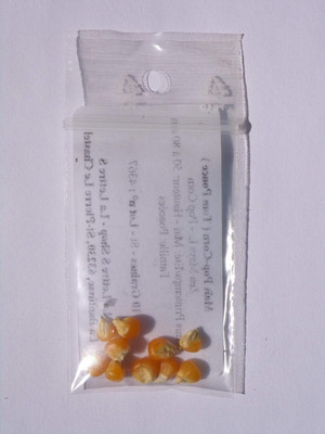 KNESSiN Pop Corn Maize Seed(200 per packet)