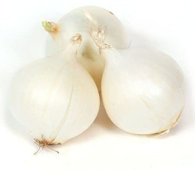 KANAYA Onion Seeds,White Onion Seeds, Pyaaj Ke Beej Seed(10 per packet)