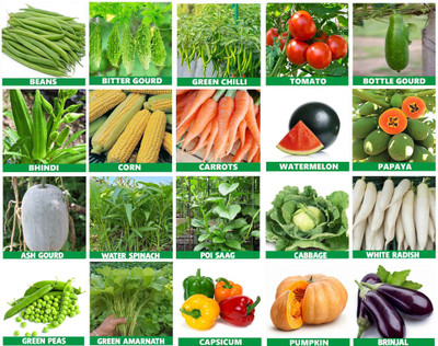abiswas Summer Vegetable Seeds Combo Pack With 20 varieties Seed(2507 per packet)