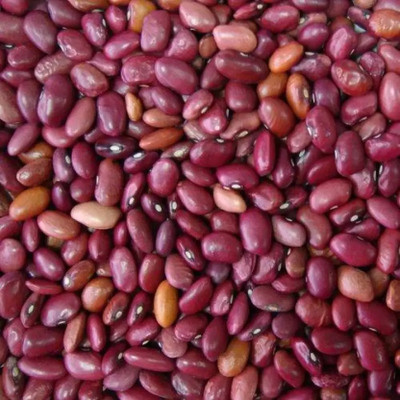 MAA Cowpea, Lobia Seed(150 per packet)