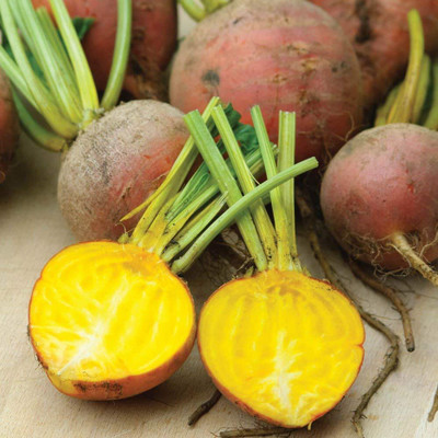 LPR CHUKANDAR,,BEETROOT Seed(20 per packet)