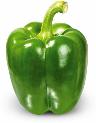 CYBEXIS XLR-6 - Capsicum | Shimla Mirch Green - (450 Seeds) Seed(450 per packet)