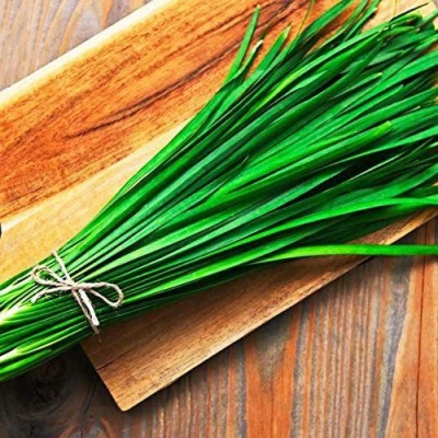 CYBEXIS GUA-15 - Garlic Chives (Allium tuberosum) - (750 Seeds) Seed(750 per packet)