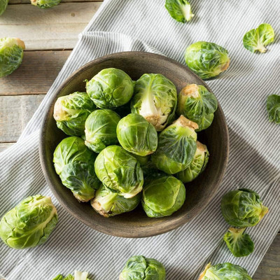WILLVINE NKR -XIII Brussels Sprout Cabbage Green [2.5g] Seed(750 per packet)