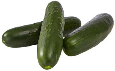 Quentova Cucumber Cross Country F1 Seed-LNT-7H Seed(300 per packet)