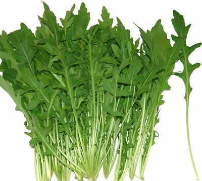 CYBEXIS High Yield Arugula Seeds High-Yield700 Seeds Seed(700 per packet)