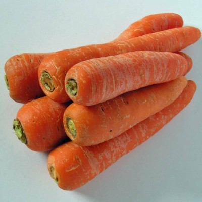 CYBEXIS Topweight Improved Imported Carrot Variety4000 Seeds Seed(4000 per packet)