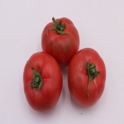 Quentova Tomato-VII-10M Seed(200 per packet)