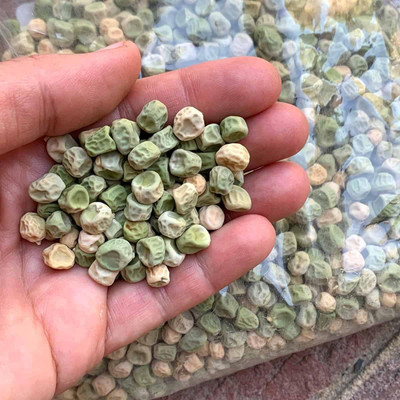 CRGO PEA , MATAR Seed(40 per packet)