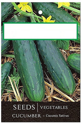 CYBEXIS Cucumber Hybrid Seeds1000 Seeds Seed(1000 per packet)
