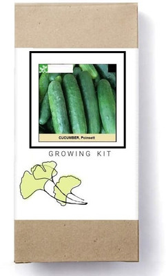 Biosnyg Poinsett Cucumber Seed(250 per packet)