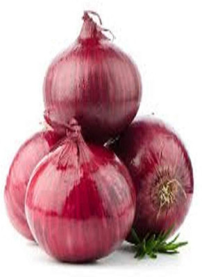 KNESSiN Nasik Onion Seed(200 per packet)