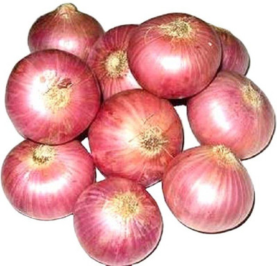 Quentova Onion Pyaj-SNIG-11S Seed(250 per packet)