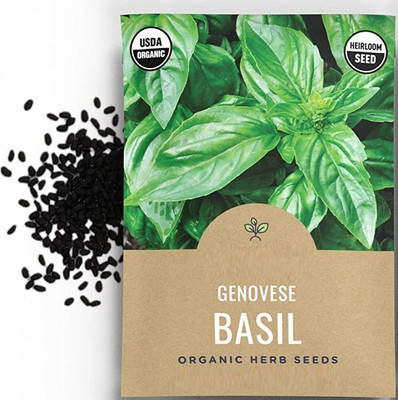 VibeX KGF -88 - Sweet Basil Genovese Ocimum Basilicum - (4500 Seeds) Seed(4500 per packet)