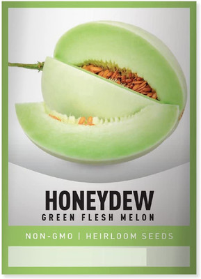 Biosnyg Musk Melon Honeydew Seed(200 per packet)