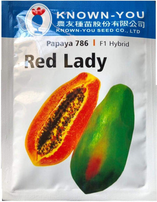 the green dotcom RED LADY PAPAYA SEEDS Seed(60 per packet)