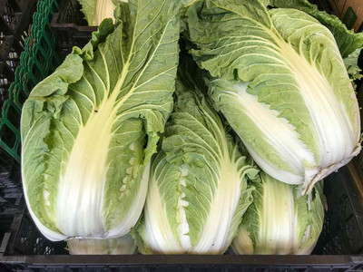 XOLDA Organic Chines cabbage Seed(33 per packet)
