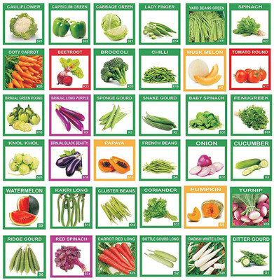 CYBEXIS 36 Vegetable Seeds Pack (2400+seeds) Seed(10 g)