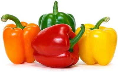Biosnyg Hybrid Rainbow Capsicum Vegetable Seeds for Garden-(100 Seeds) Seed(100 per packet)