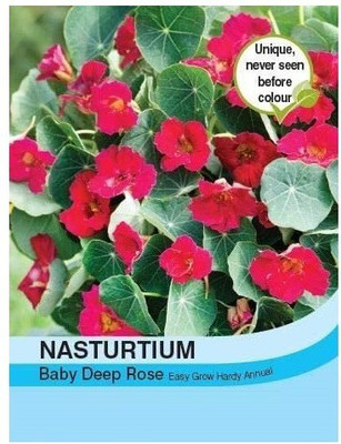 CYBEXIS Flower - Nasturtium Baby Deep Rose Seed(1 g)