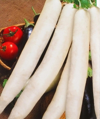 MKR Enterprises Radish Seed(200 per packet)