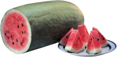 VibeX VVI-55 - Charleston Gray () Watermelon - (450 Seeds) Seed(450 per packet)