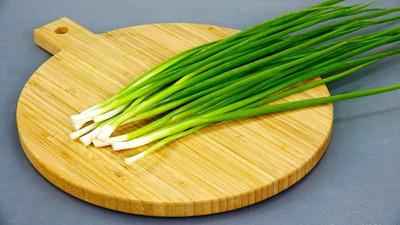 KNESSiN Open-Pollinated Japanese Green Onion Seeds for Terrace Gardening-(300 Seeds) Seed(300 per packet)
