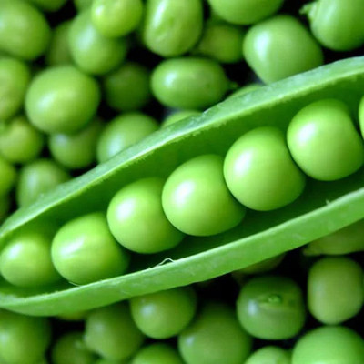 DEYS AGRO ™ imported green peas vegetable seeds,hybrid Seed(22 per packet)