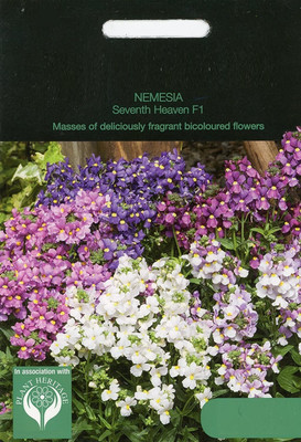 LPR NEMESIA Seed(20 per packet)