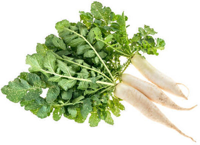 Kodali Hybrid F1 Radish Seeds Pack Of 64 Seed(64 per packet)