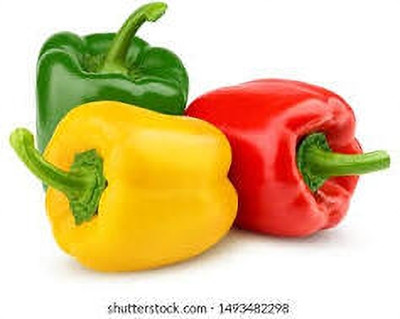 RRHOSERY RADHA RANI HOSEIRY MIX CAPSICUM SEEDS & PLANT CARNIVAL A COLORFUL MIX FOR Seed(40 per packet)