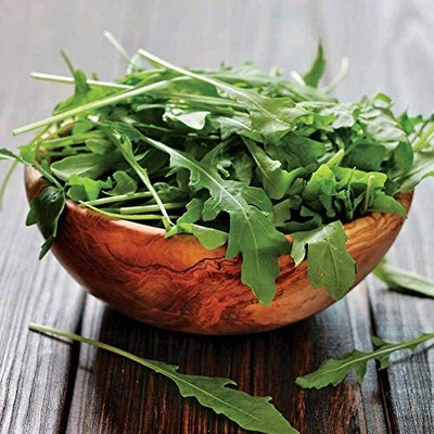 WILLVINE Sylvetta Arugula Seeds - Italian Rustic-[2500 Seeds] Seed(2500 per packet)