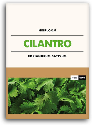 Qualtivate HUA-121 Coriander' Cilantro Seeds Seed(500 per packet)