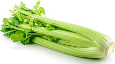 VibeX ® VMR-130 Tall Utah 52/70 Celery Seed(500 per packet)
