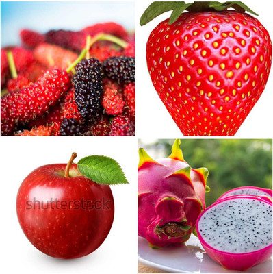 FRESHO BEST F1 QUALITY MULBERRY,STRAWBERRY,DRAGON,APPLE FRUIT SEEDS Seed(405 per packet)