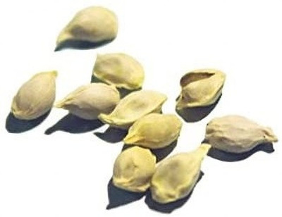 KNESSiN Australian Citrus Fruit Bonsai Sweet Lemon[50 Seeds] Seed(50 per packet)