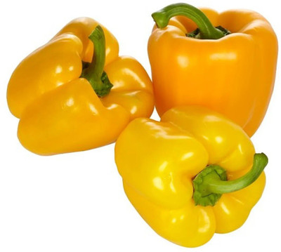 Quentova YELLOW BELL PEPPER Capsicum-5F-VISHVA Seed(100 per packet)