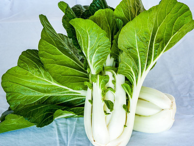 Quentova Joi Choi Hybrid Pak Choi-RXI-4R Seed(300 per packet)
