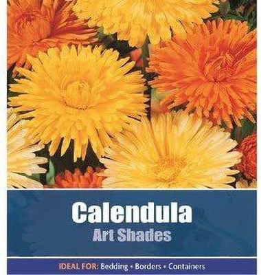 CYBEXIS Calendula Officinalis Art Shades Garden Flower Seed(50 per packet)