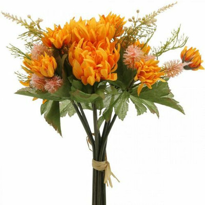 XOLDA Exotic chrysanthemum Seed(31 per packet)